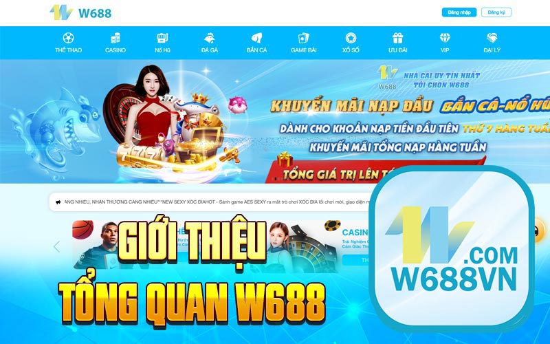 Giới thiệu tổng quan W688